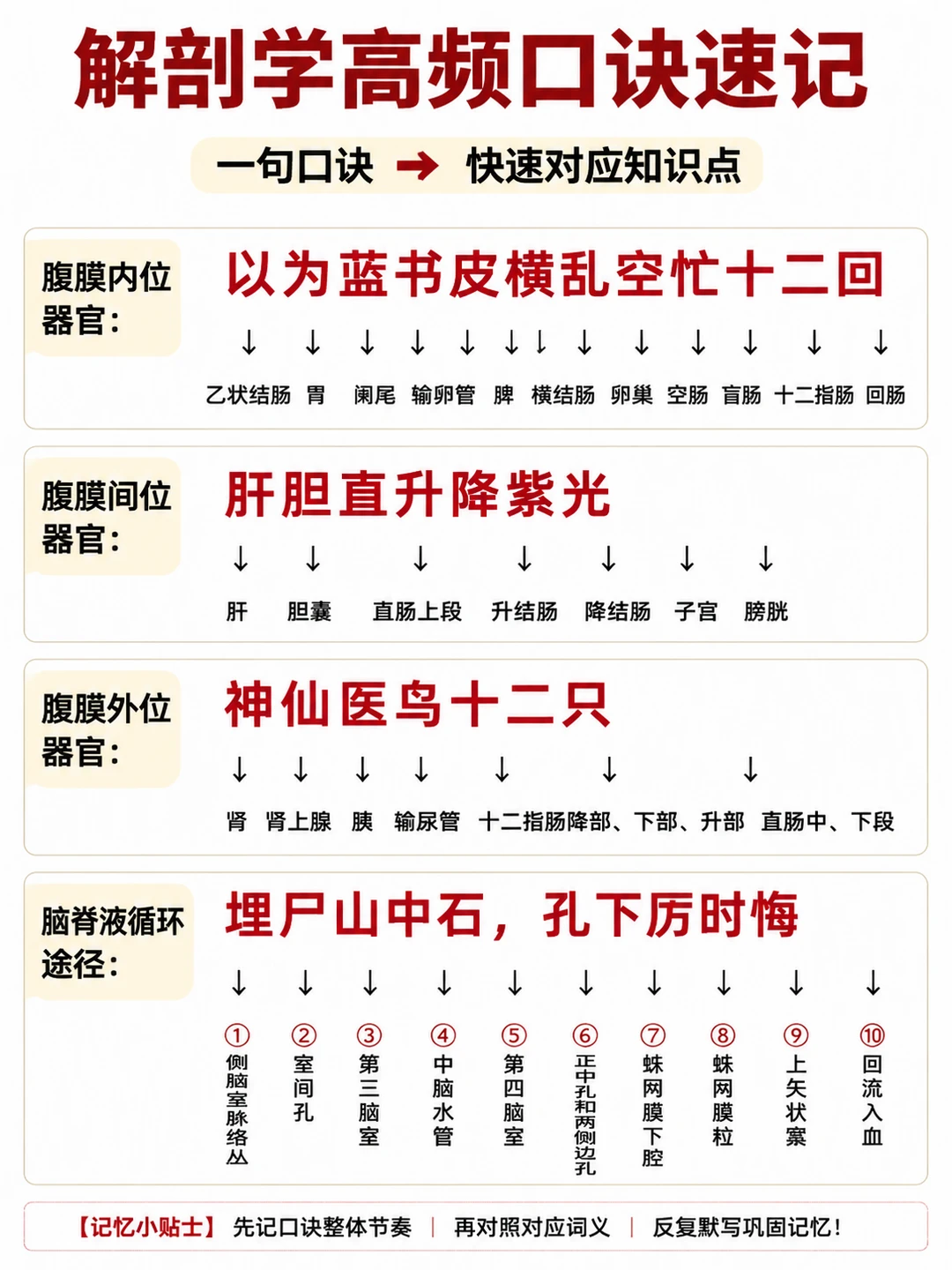 阿虎医考解剖记忆口诀📚|手写笔记📝