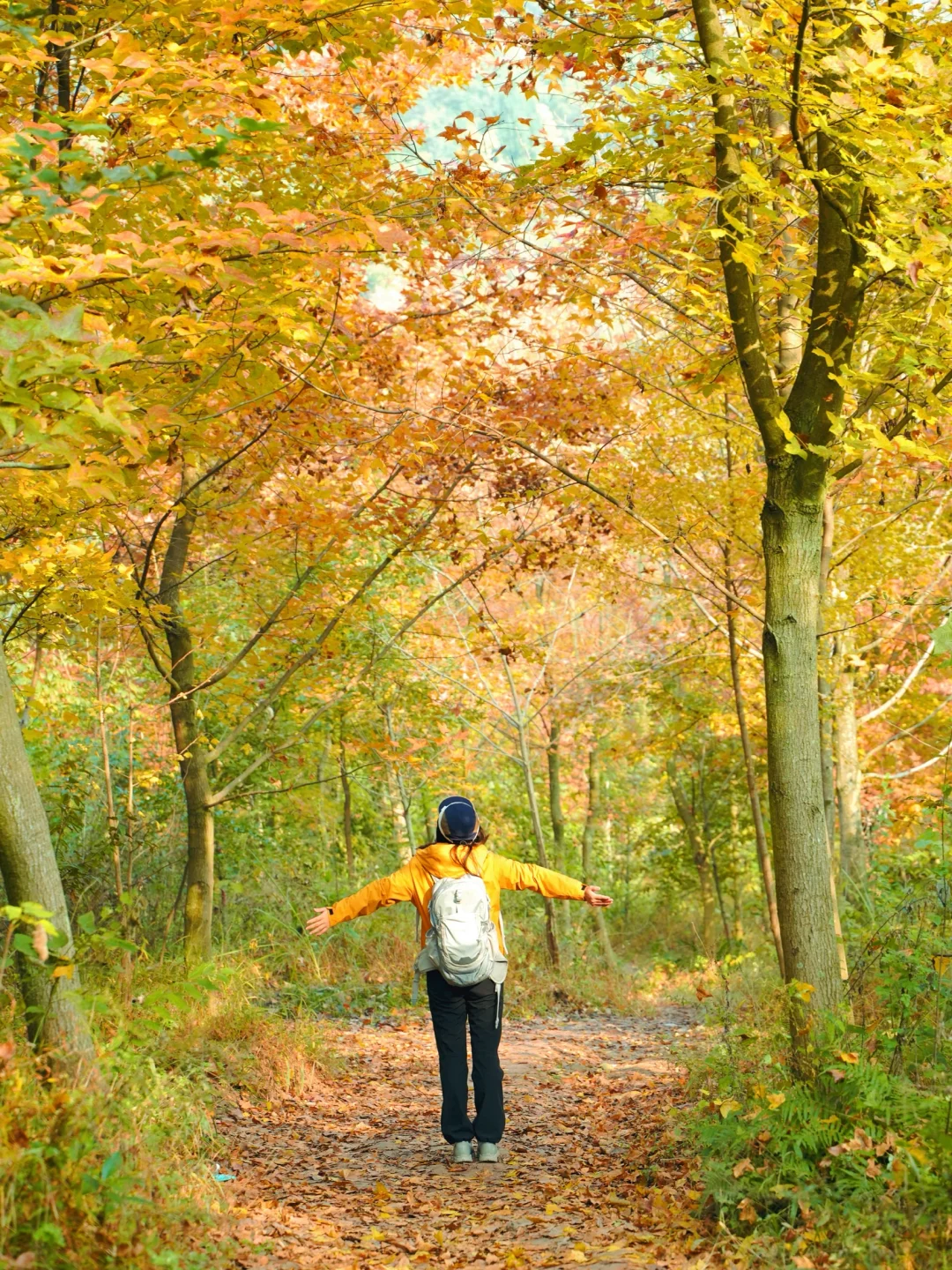 11.28实拍‼️成都0.5h地铁公交🉑达彩林徒步