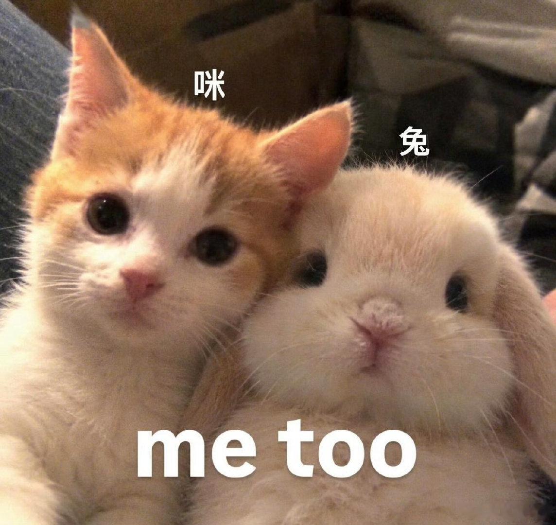对哭娃免疫之后，本以为王宁赚不到我的钱了。
直到我又爱上了星星人。[泪奔][泪奔][泪奔] ​