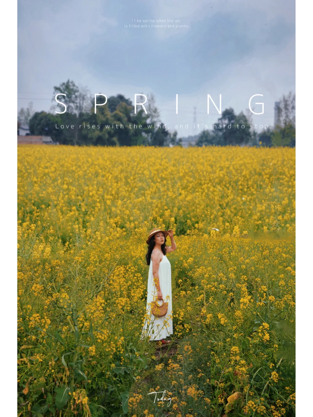 周末去踏青｜有一种春天叫油菜花开