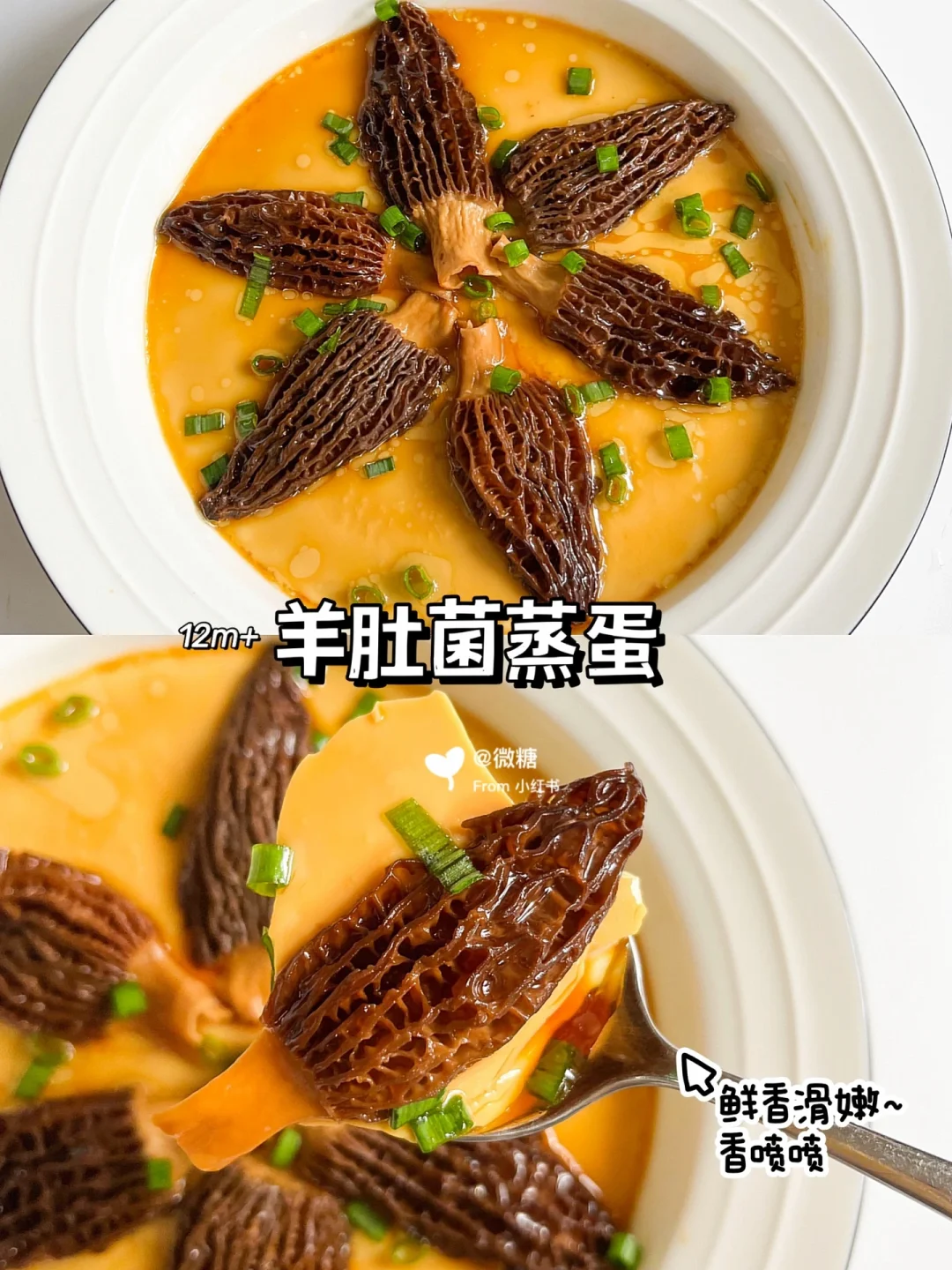 鲜香滑嫩的羊肚菌蒸蛋｜营养美味｜附蒸蛋秘诀