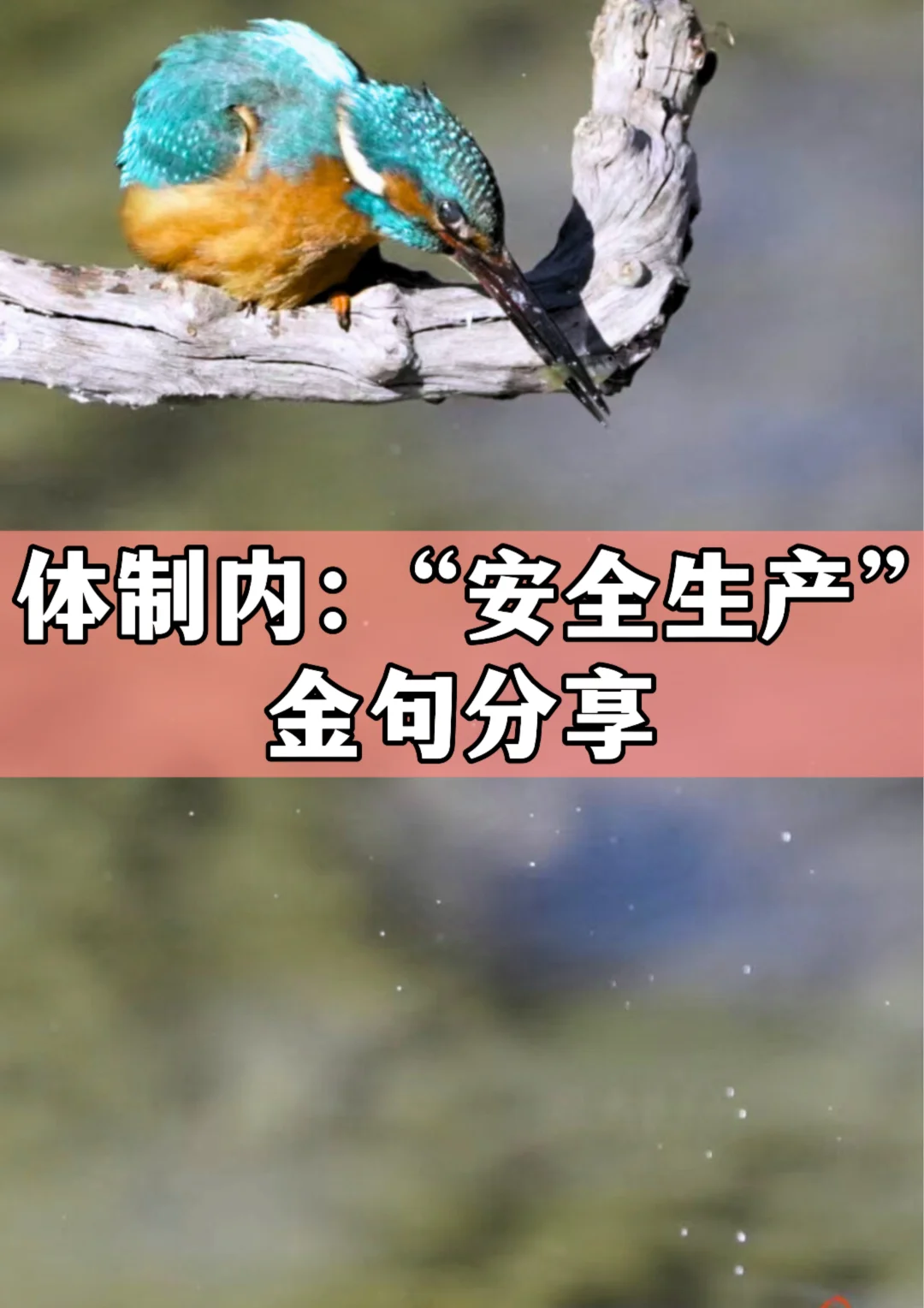 体制内：安全生产金句分享