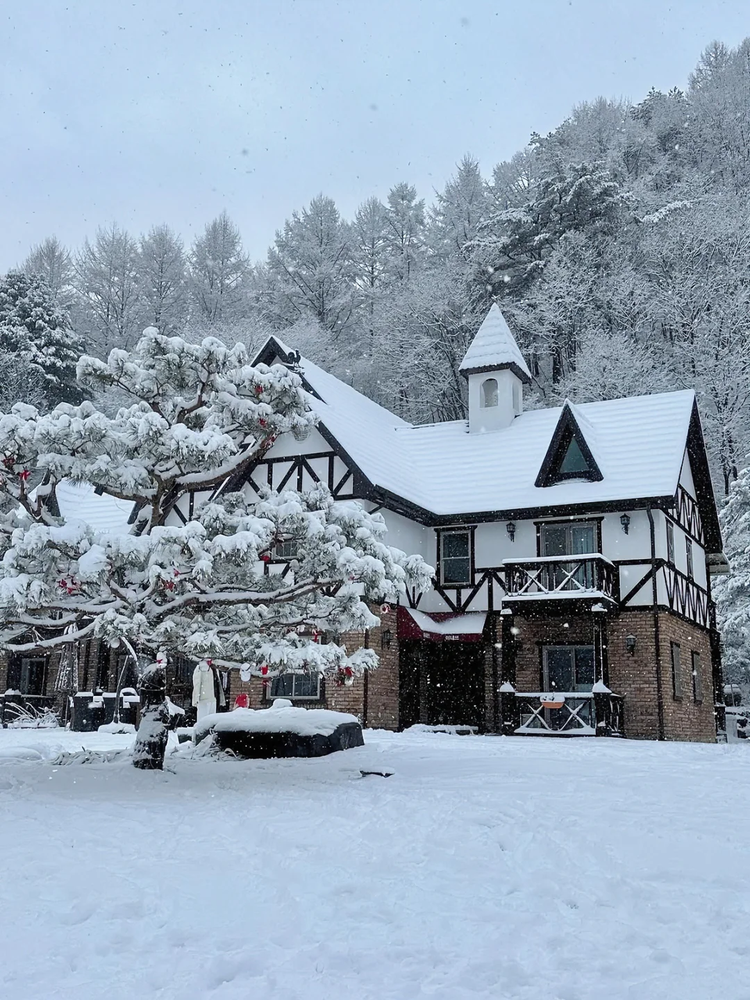 舍不得退房…❄️韩国江原道真的被低估了😭