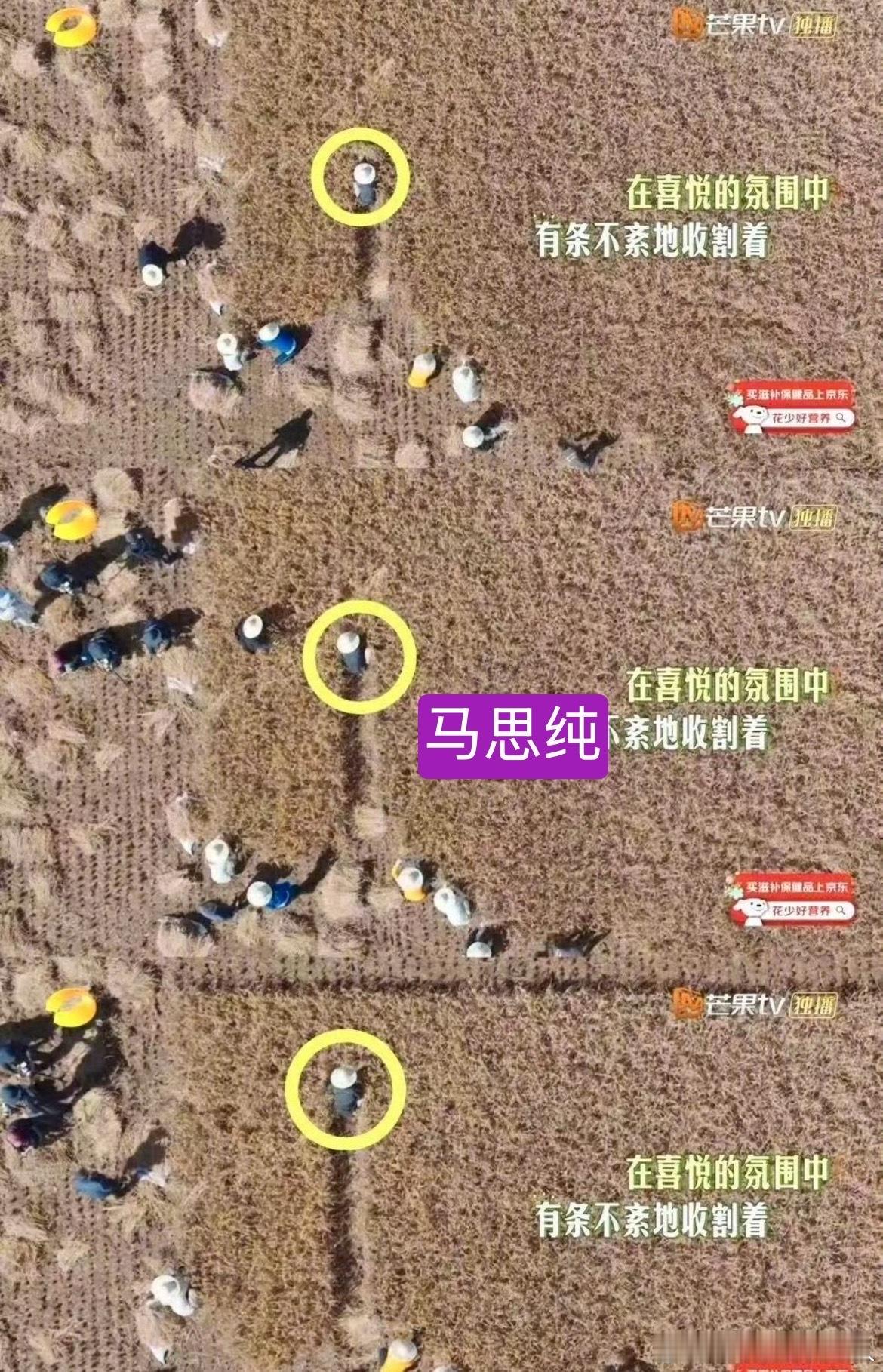 #马思纯出演金色南繁##马思纯不语只是一味的割稻# 
嗯嗯，南繁这个项目不是种柿子，种草药的小芳能比的好吗[可爱]
一号文件里的[可爱]
马思纯戴上眼镜白衬衫就像农业科研人员知识分子
进入稻田就是割稻小能手
这种项目不去争取你们在干什么 ​