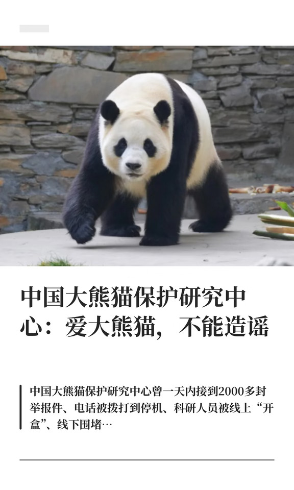 中国大熊猫保护研究中心:爱大熊猫 不能造谣