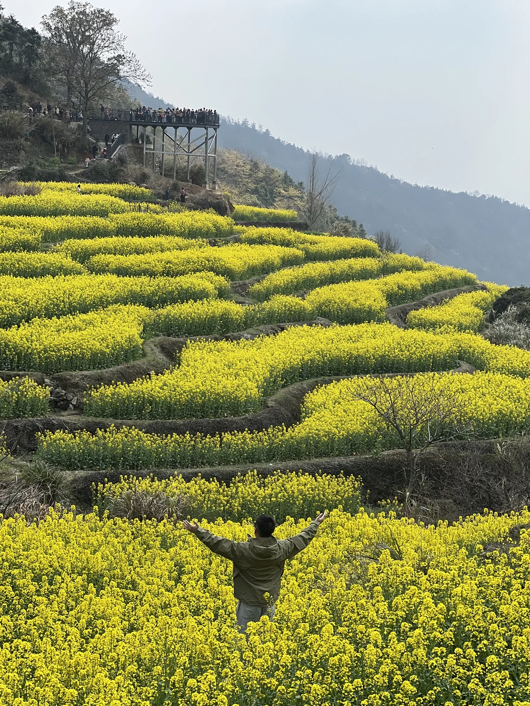 3月，千万别错过“南昌小婺源”的免费花海🌼