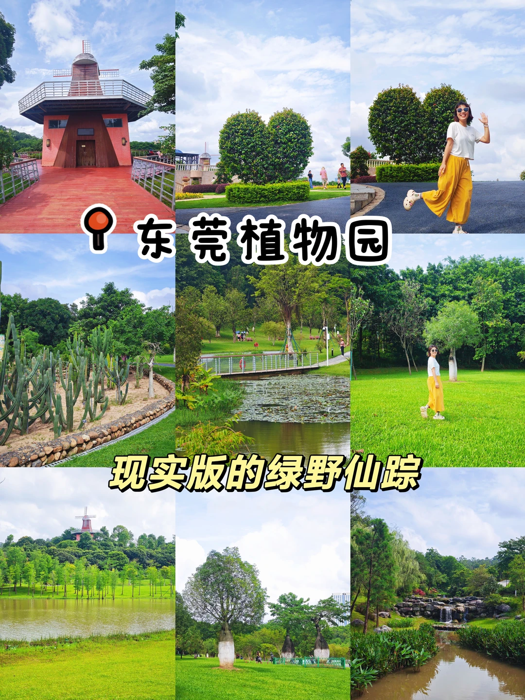 东莞植物园｜现实版的绿野仙踪！免费游玩✌