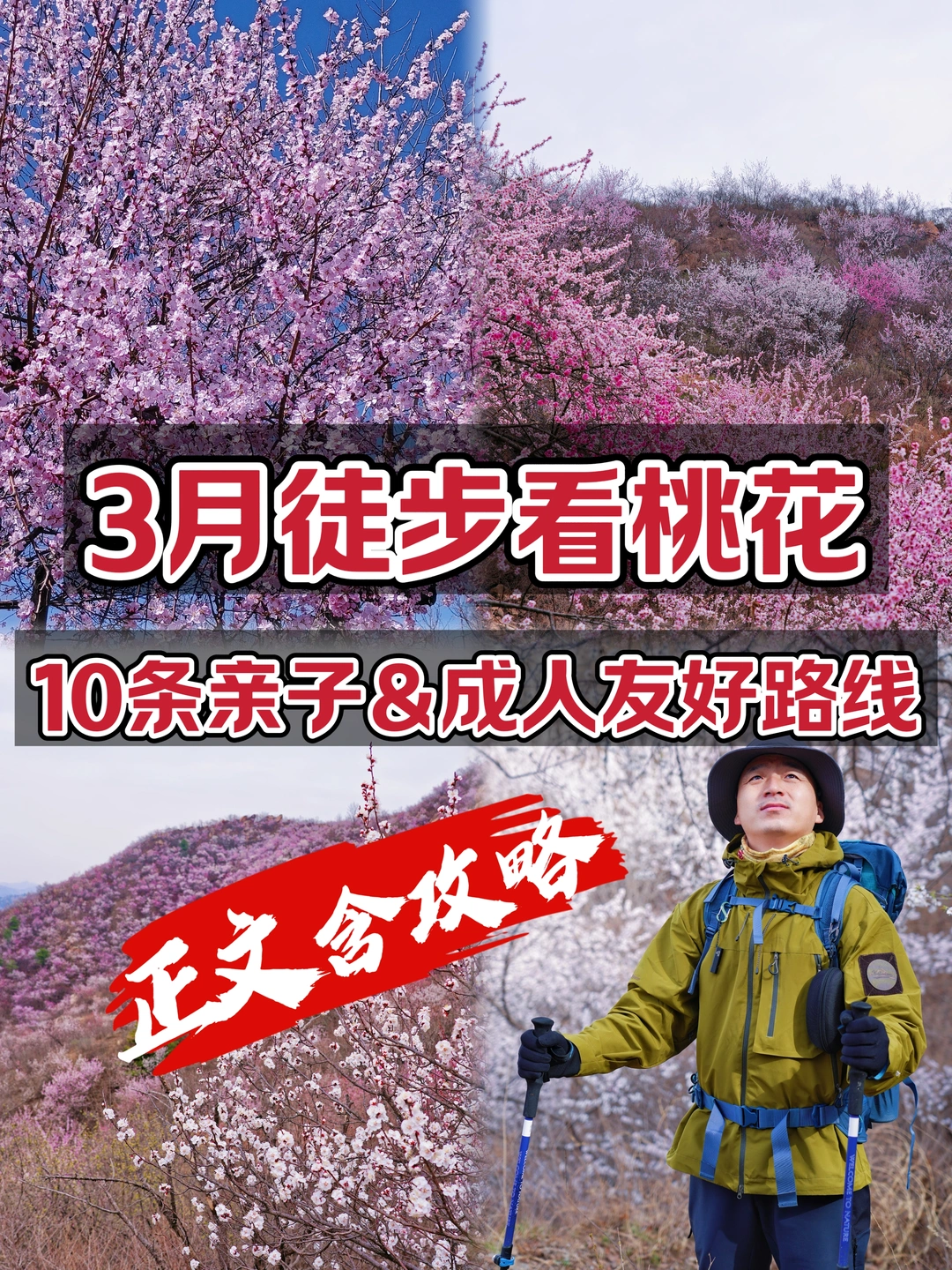 🌸3月徒步看桃花，10条亲子&成人友好路线