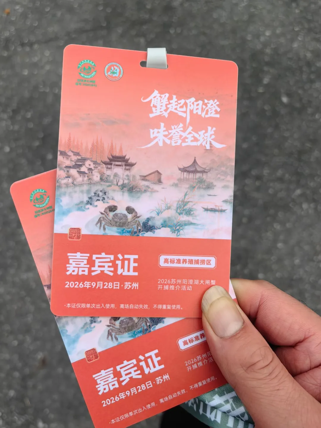 要偶遇吗[让我看看]