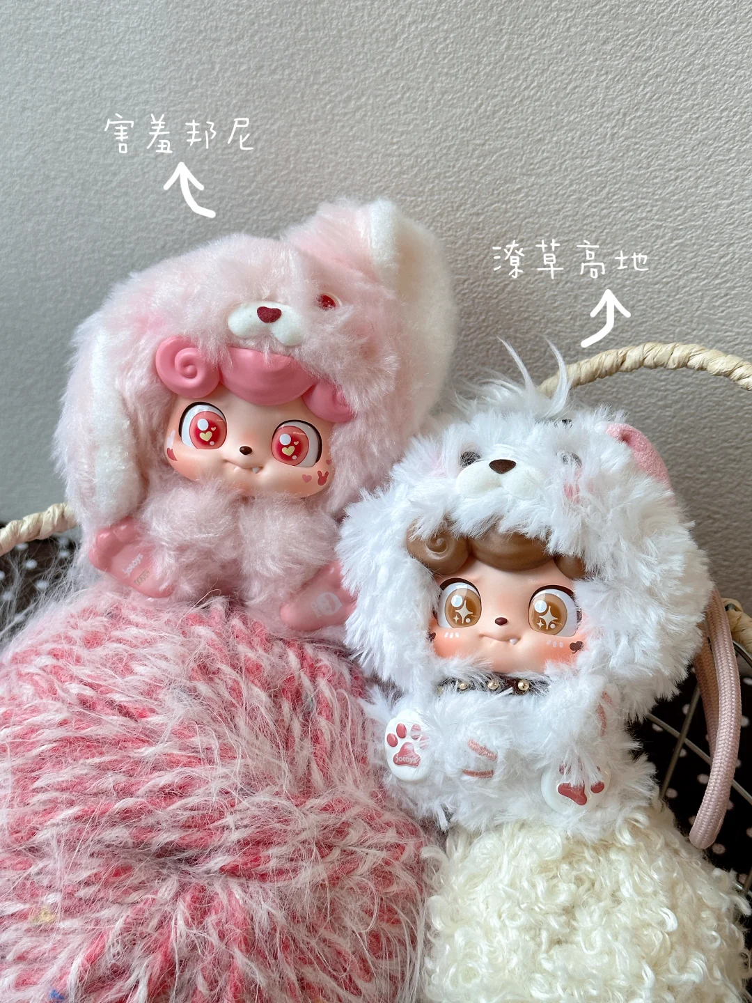 萌物出现！Q宝就酱萌晕一切！
