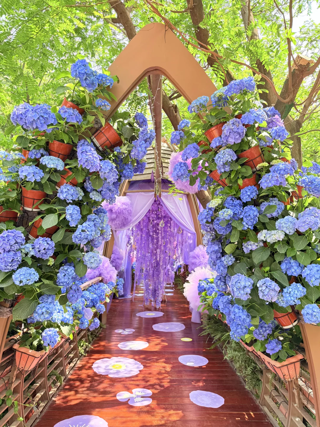 成都0元拍照！！预计会爆🔥的机位……