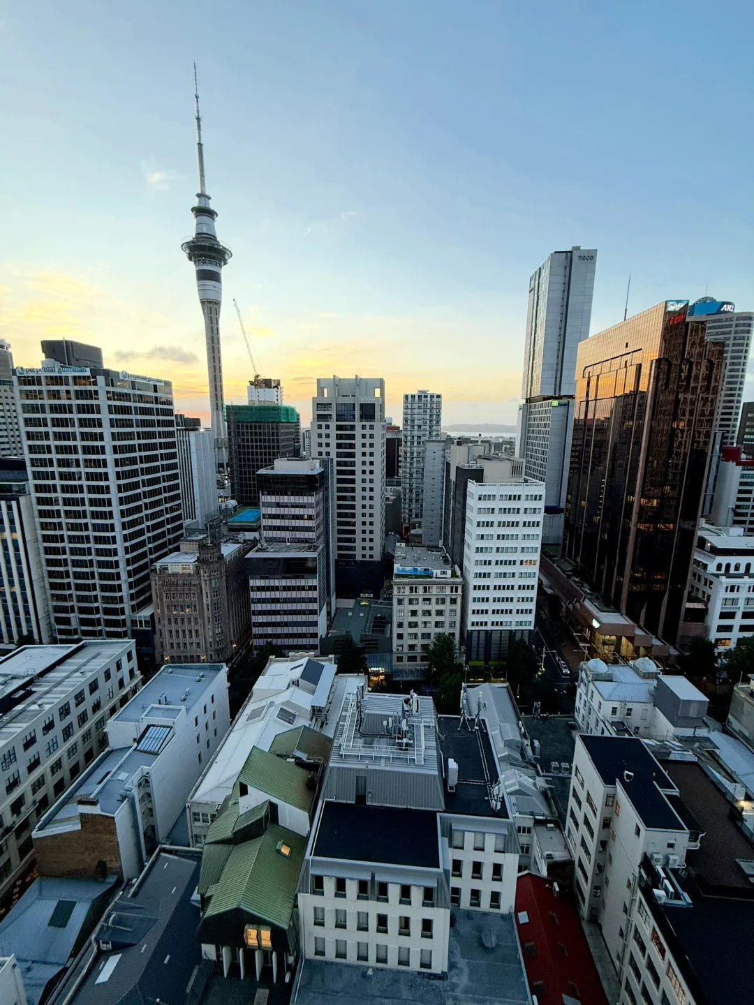 奥克兰买表指南