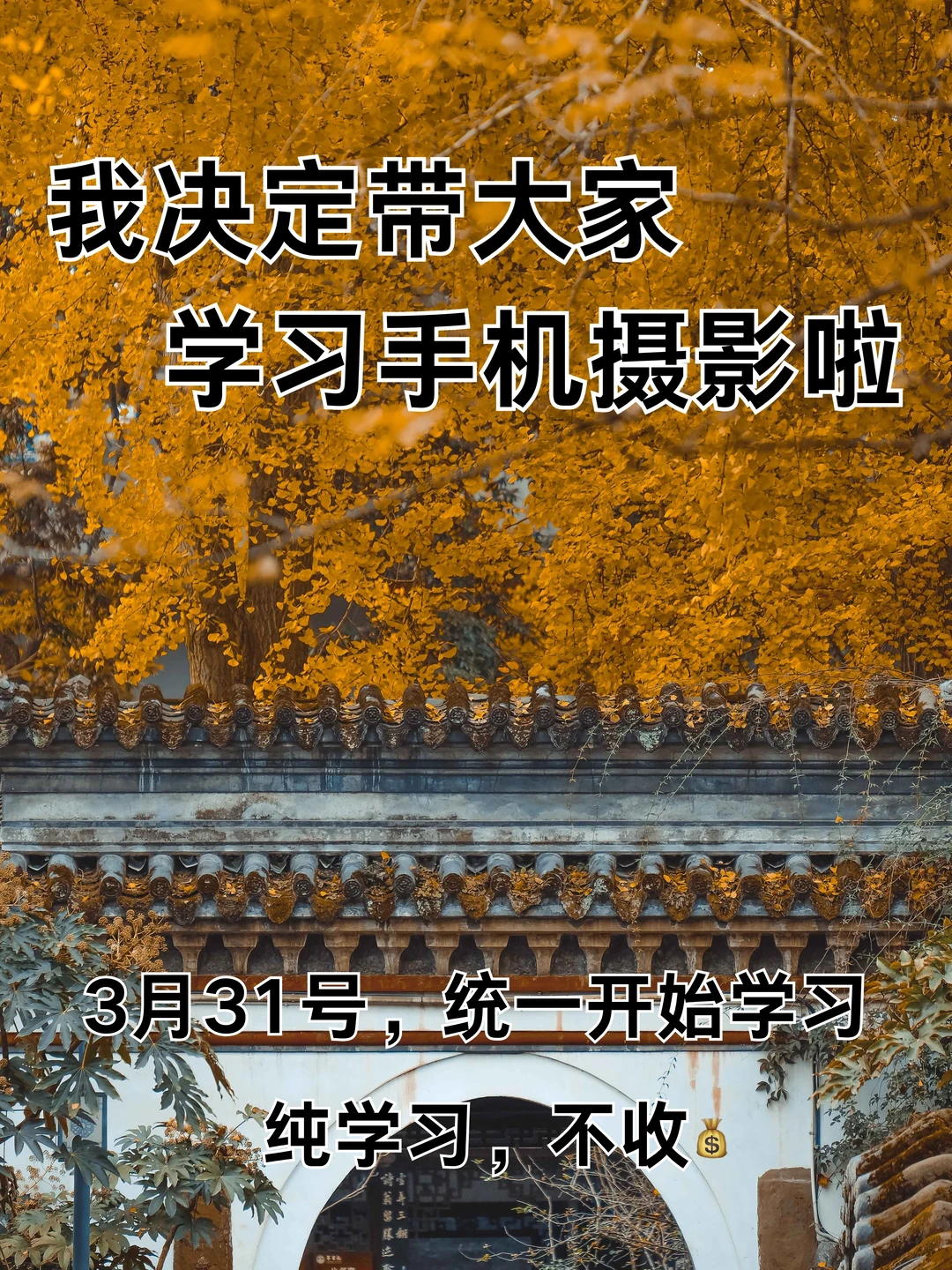 我决定带大家学习手机摄影啦！！