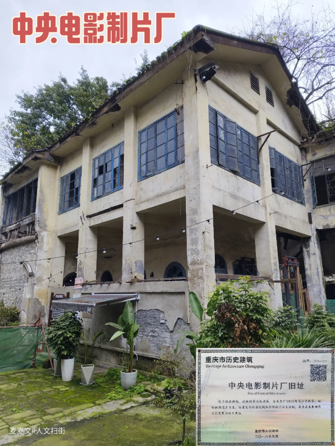 【南岸】中国好莱坞抗战时电影精英的避难地