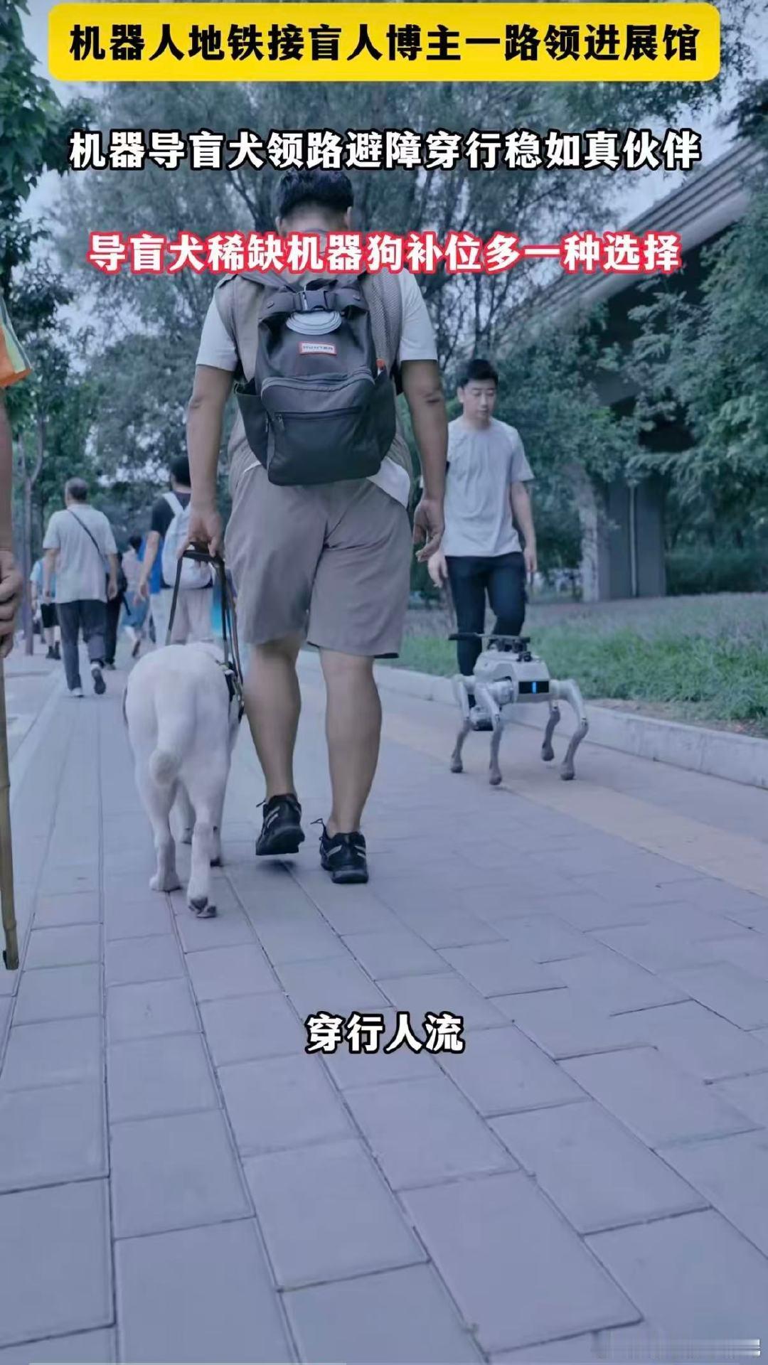 #北京WRC现场导盲犬和机器狗一起带路# 导盲犬稀缺，机器狗补位！北京WRC现场，机器导盲犬“小文”和真导盲犬并肩带路，从地铁接到展馆，全程护航视障博主。科技不是冰冷的机器，而是温暖的陪伴。 ​