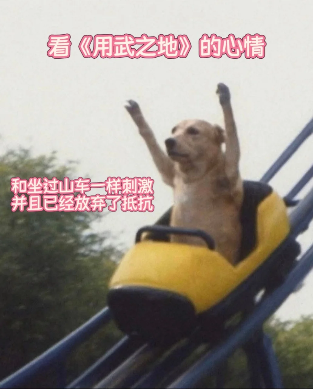 后劲大到失眠！《用武之地》才是跨年真·王炸