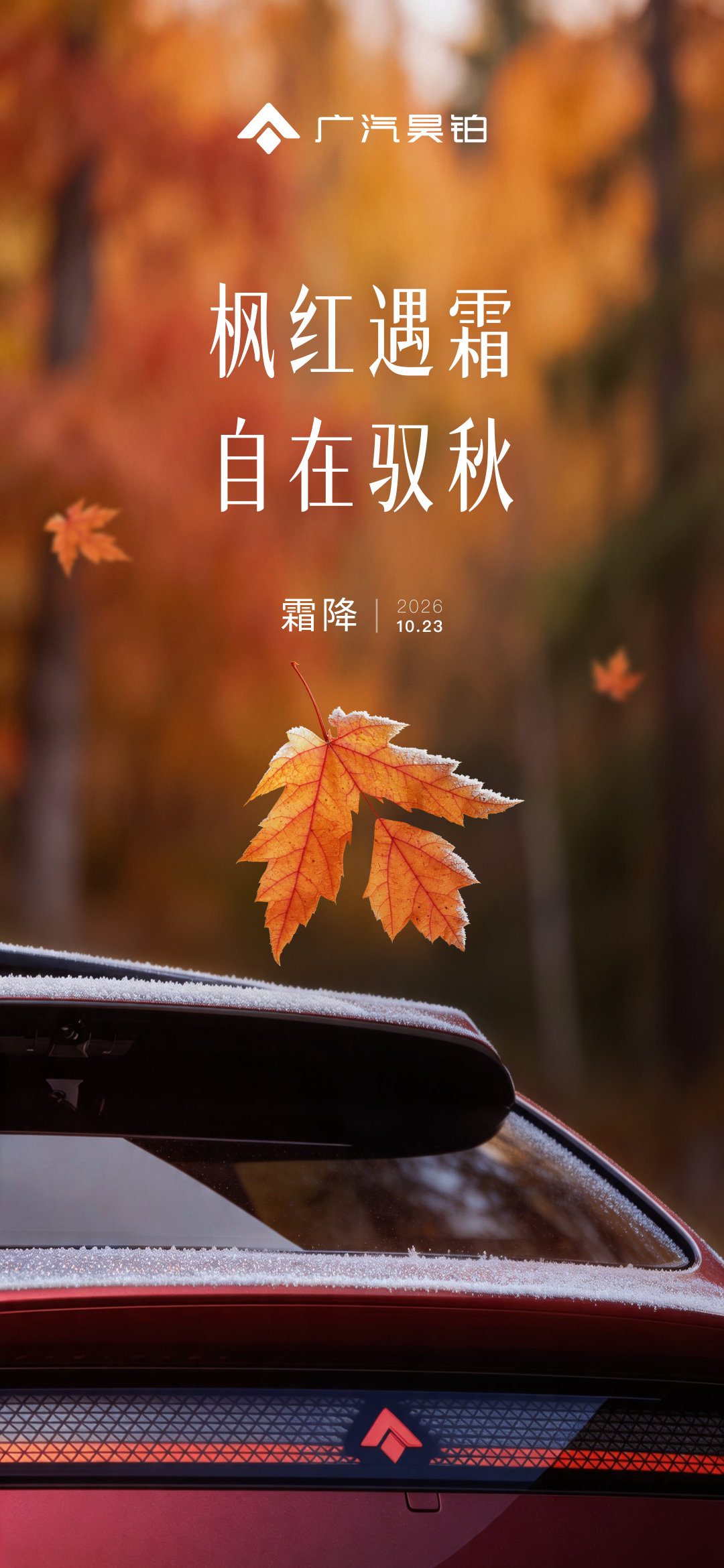 霜降 | 枫红遇霜 自在驭秋
清霜染枫色，驭车揽晚秋
风携霜意至，一路尽从容
#广汽昊铂S600##霜降# ​