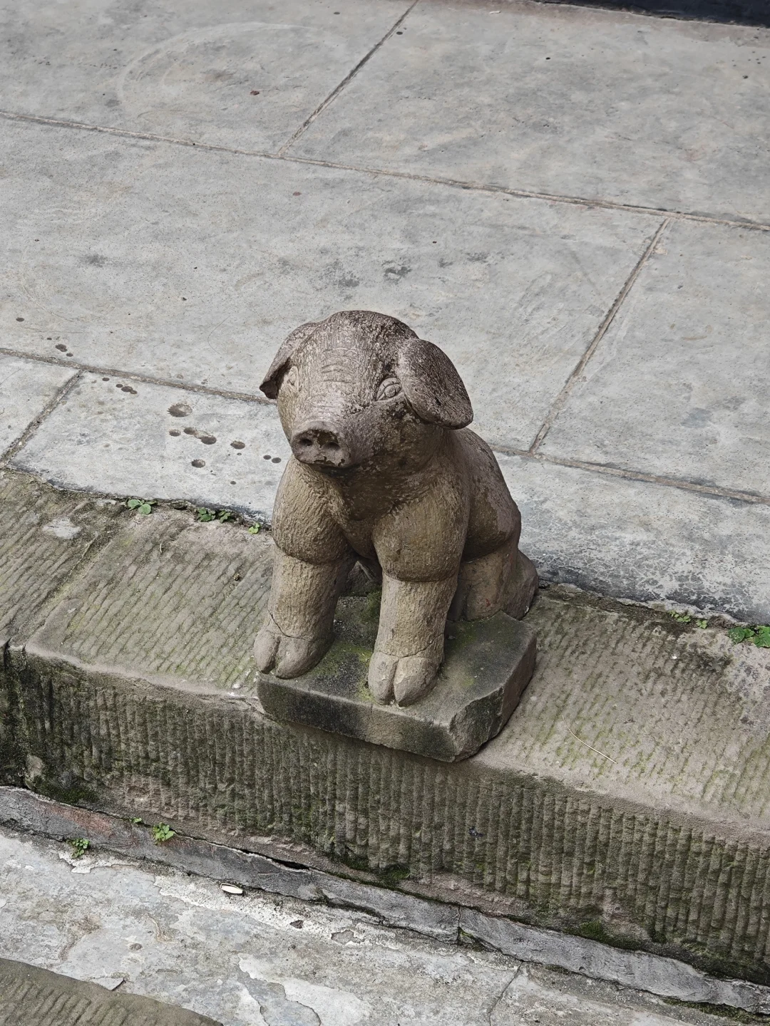 它好像我的一位故人...