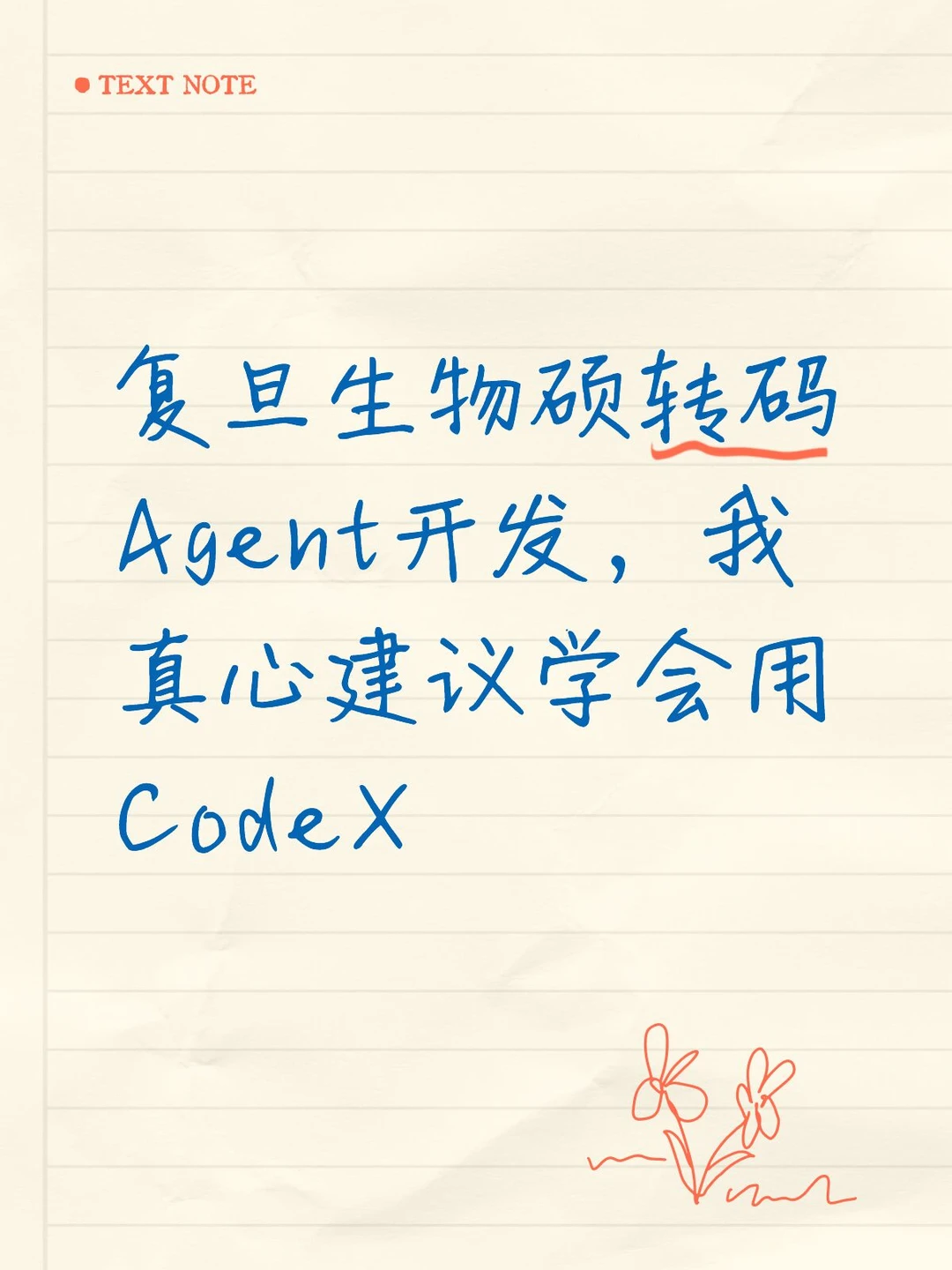 非科班转码，真心建议你先学会用 Codex