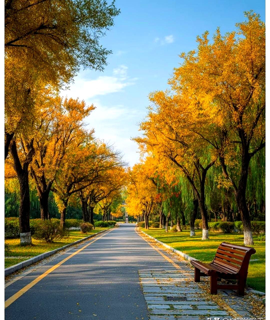 帖子里那句“背叛只有零次和无数次”把很多人拍醒，热搜数据显示下午三点相...