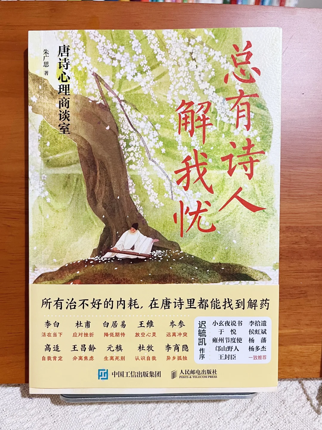 📚 唐诗也能治emo——《总有诗人解我忧》