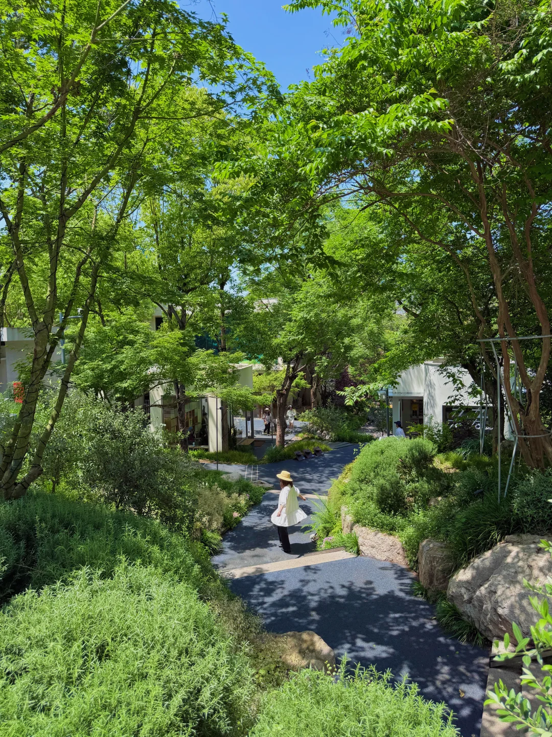 成都！！果然好看的地方都是免费的！！