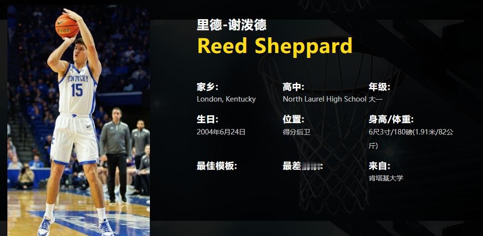2024年NBA选秀每日一星（第四期）  里德-谢泼德（Reed Sh...