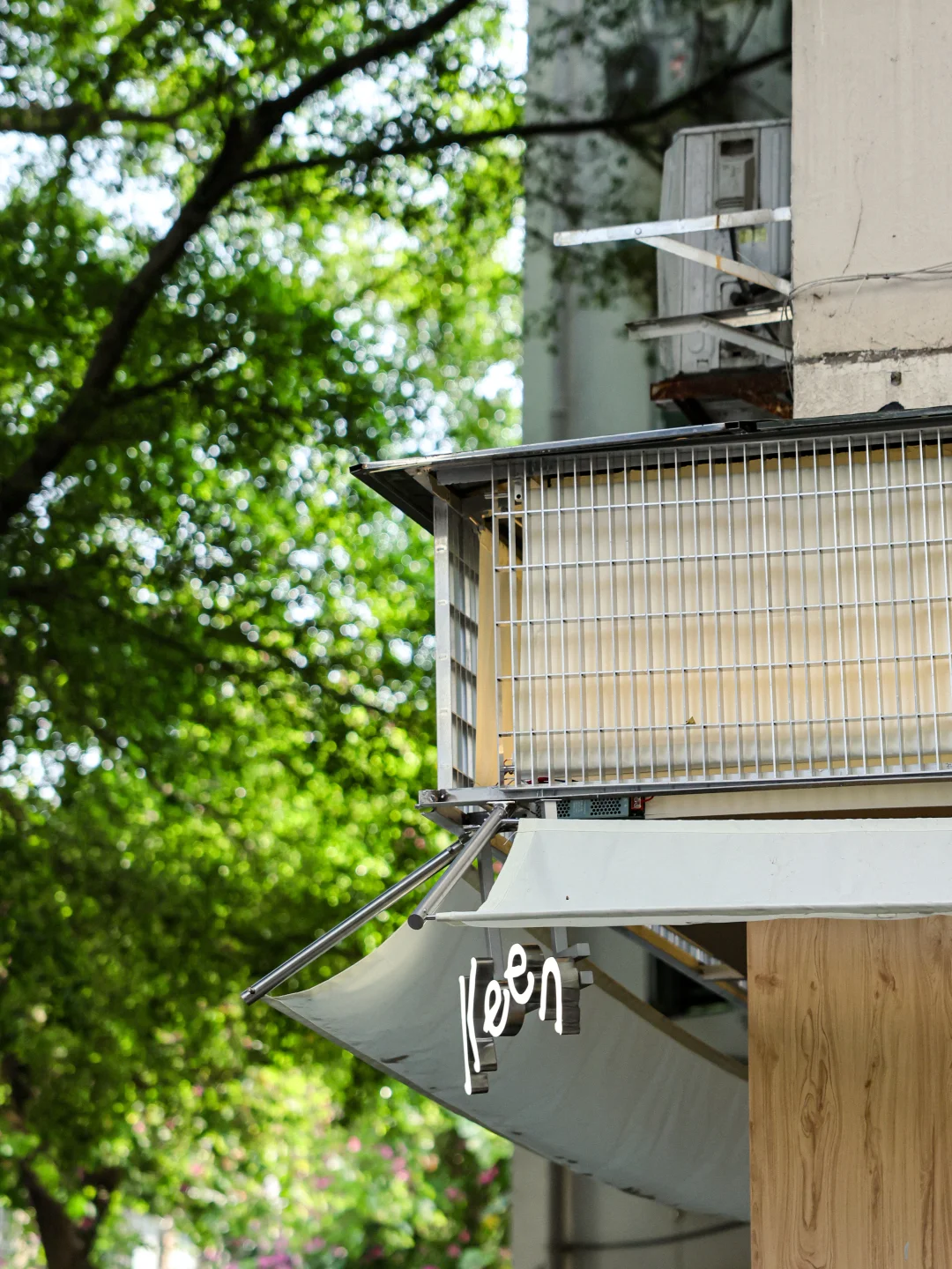 五羊邨☕️新店keen🌳立春后晒太阳的好去处