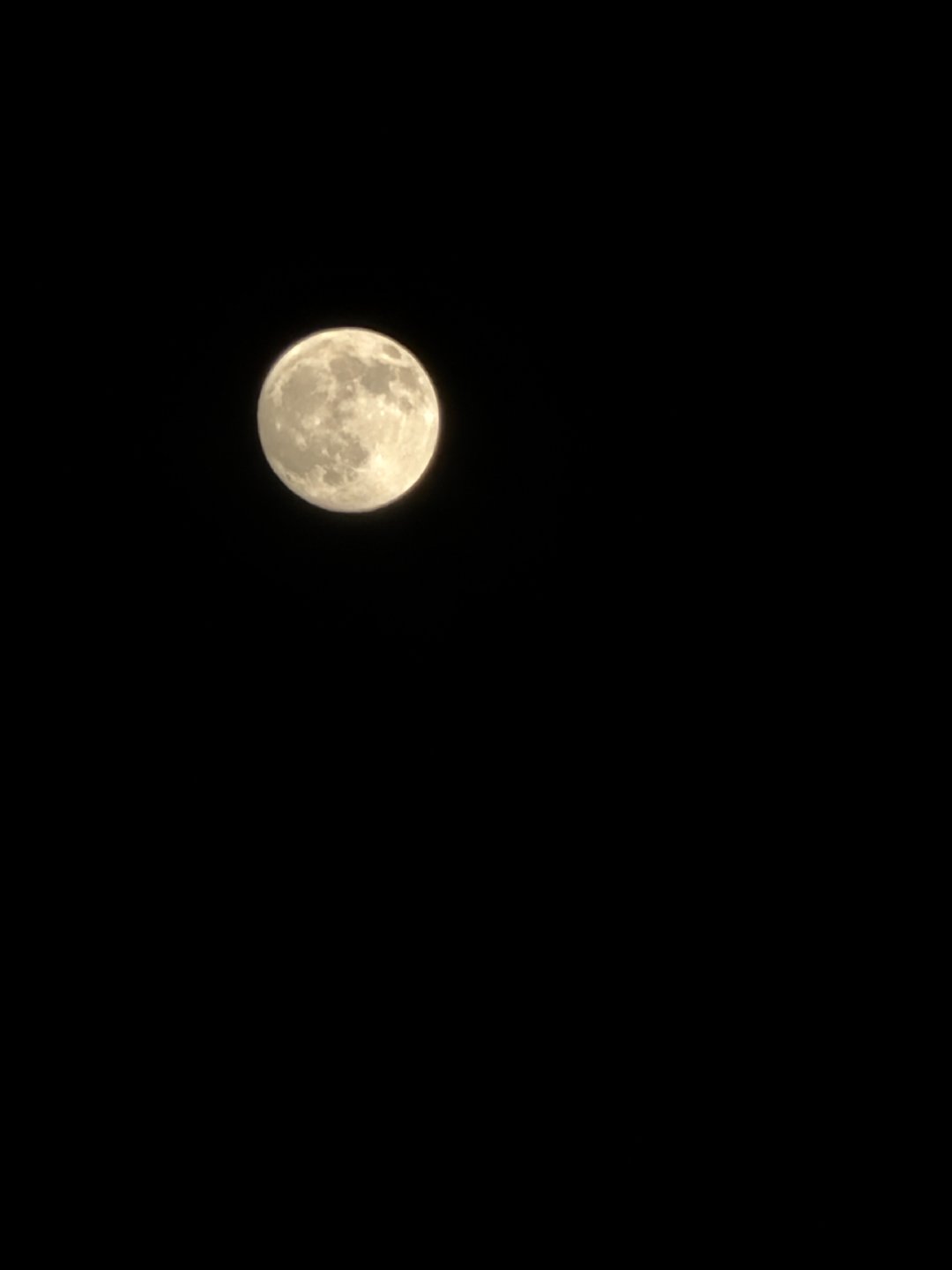 严肃赏了十分钟的🌕
这个17pm还是需要支架才能拍好（
这几年跑线下拍视频其实已经练就了一双相对稳的手
但可能还是手机太重了[允悲]怎么拍都有点儿抖
力竭了 就这样吧 还得多拍练练技术 ​