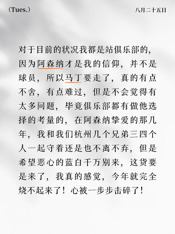 #杭州阿森纳 #杭阿 #阿森纳 #英超 #马丁内利