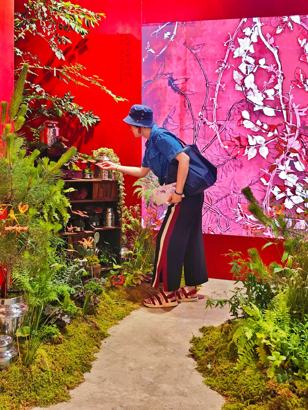 一场关于东方草本与身心净化的叙事展