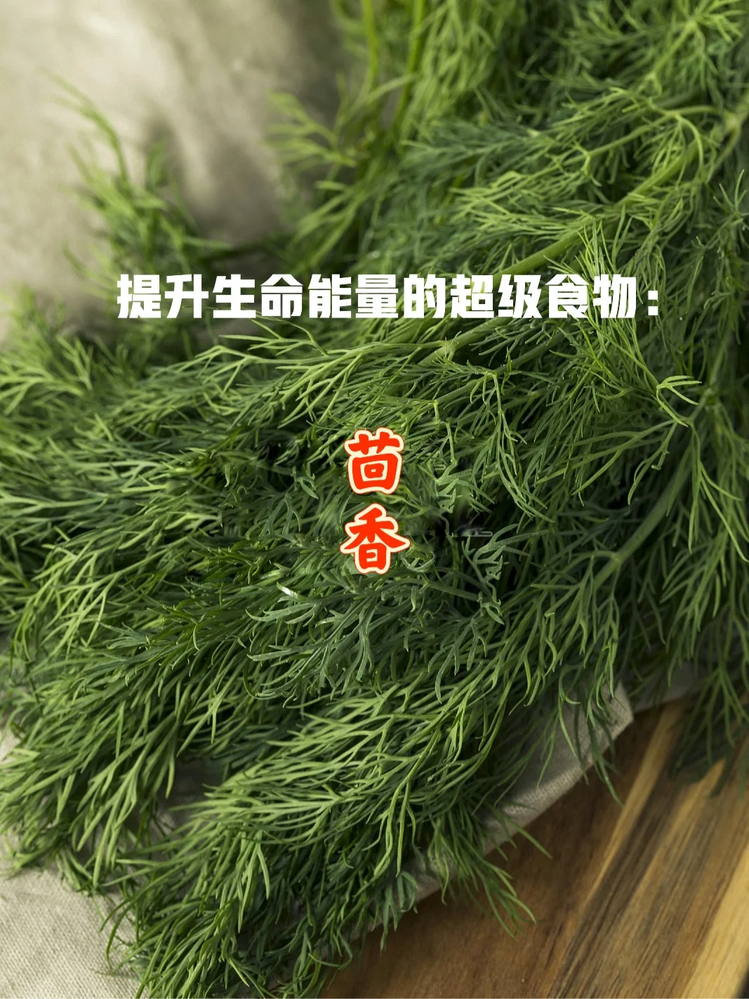 宇宙疗愈食物之：茴香