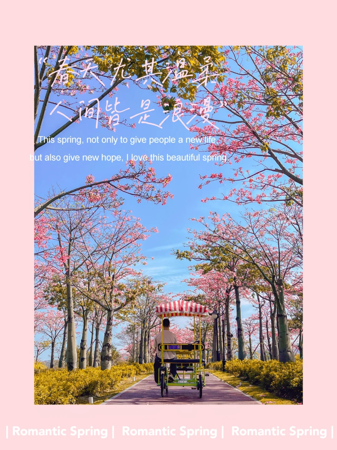 春节去哪玩❓广东的春节有花有海有年味❗