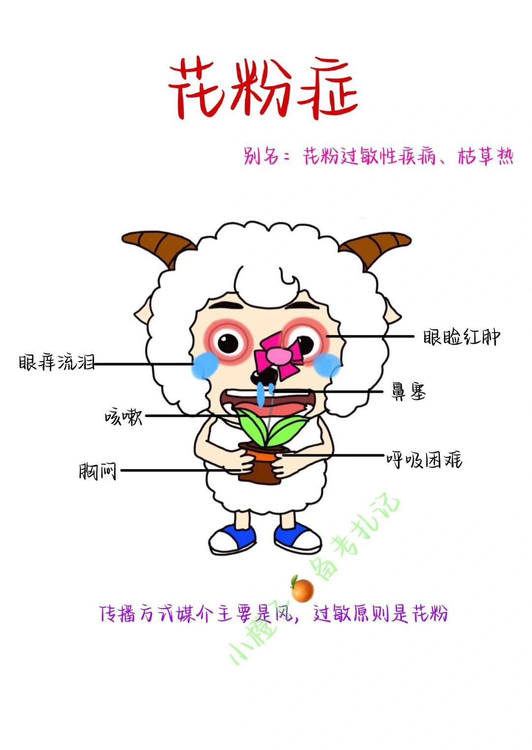 鼻塞😷打喷嚏🤧｜花粉症姐妹救⭐️
