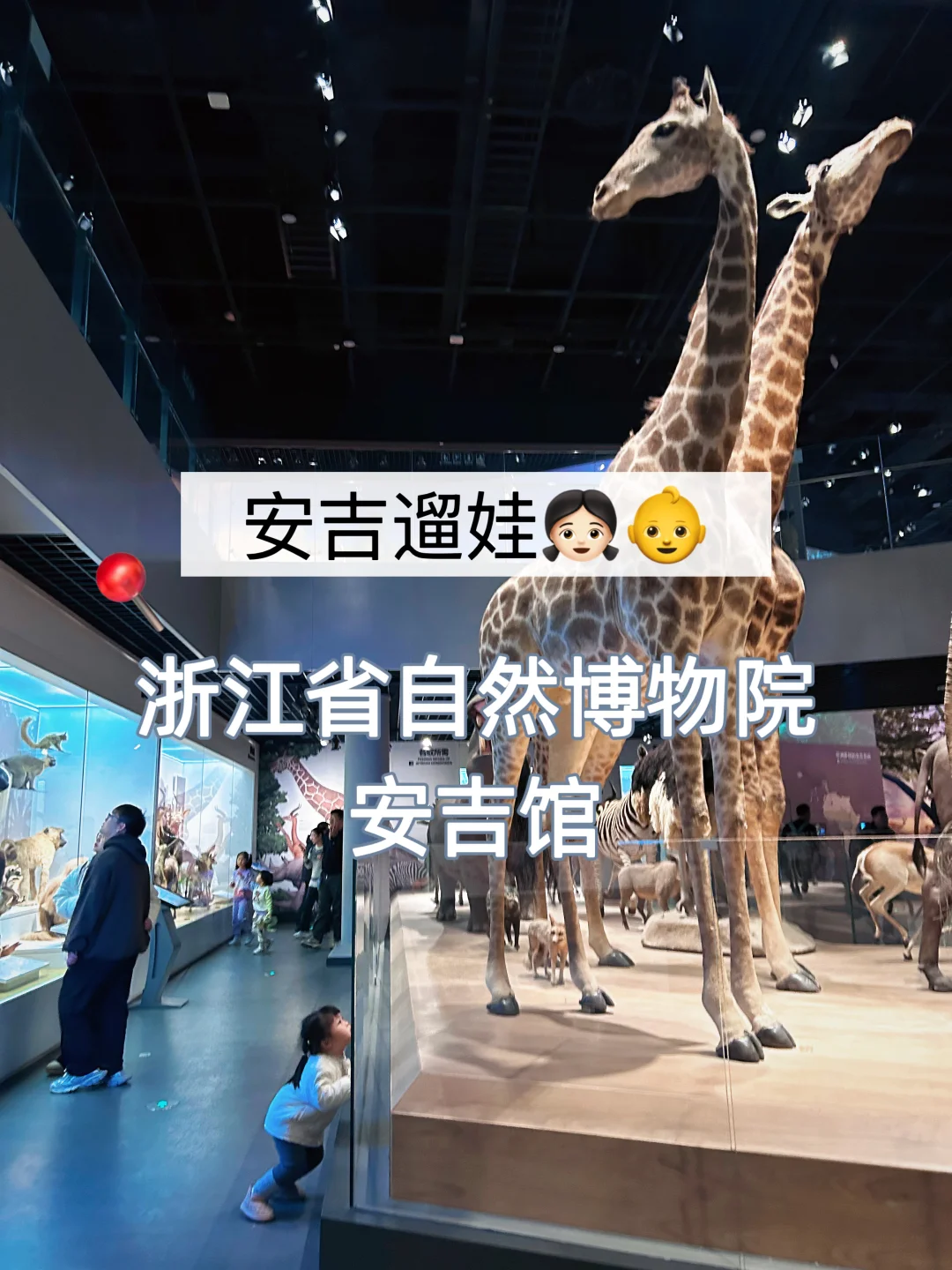 安吉遛娃4️⃣浙江省自然博物院安吉馆