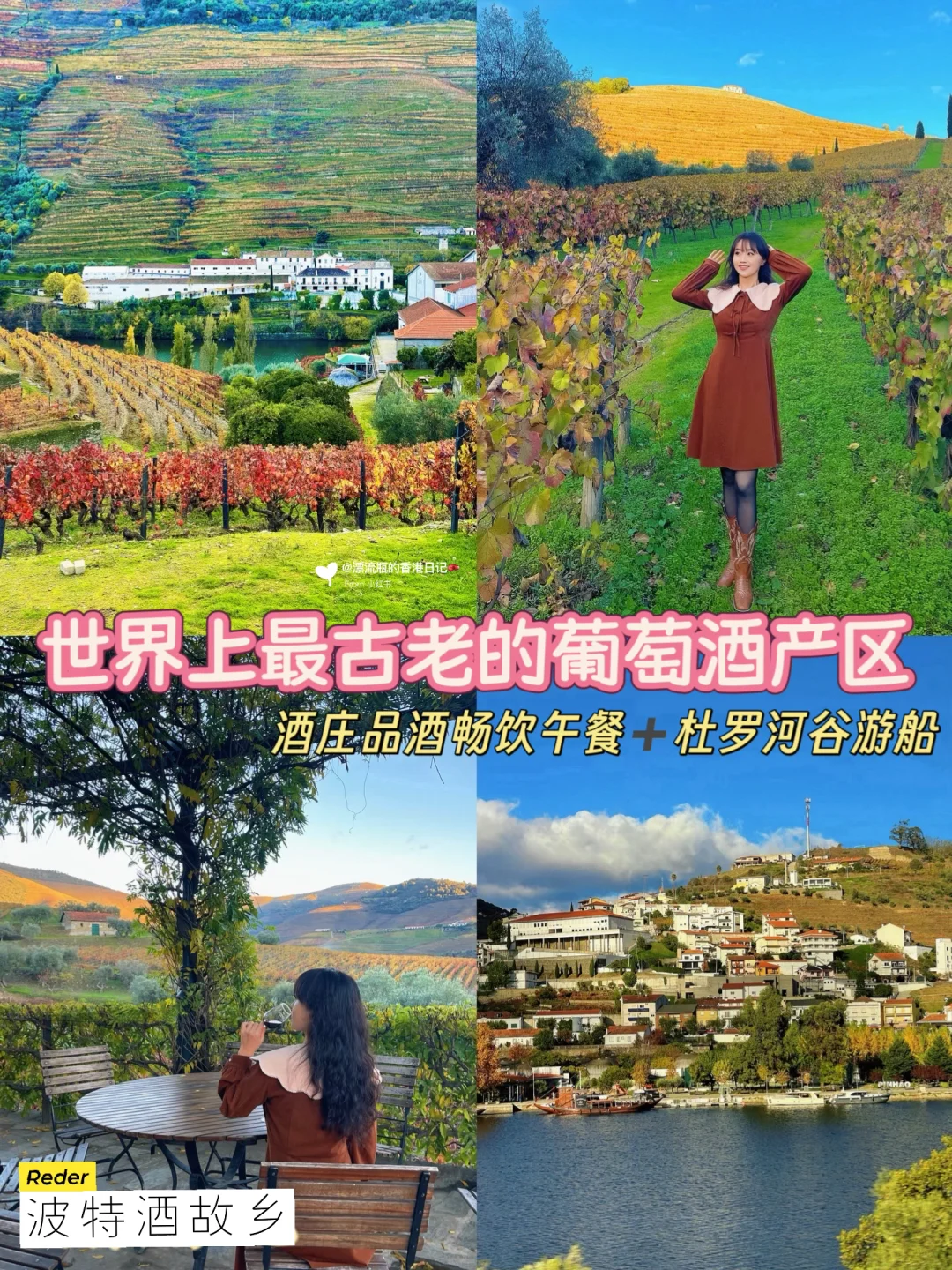 🇵🇹波尔图杜罗河谷🍷一日游‼️世界文化遗产
