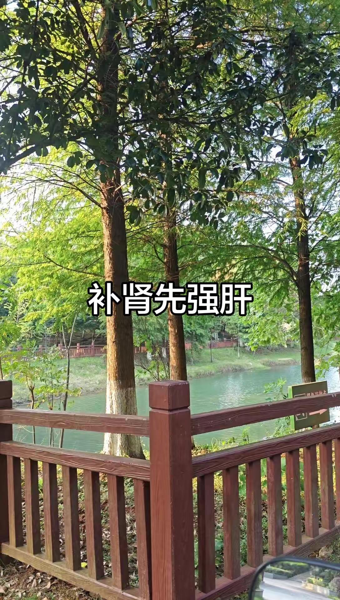 巅峰防守大战！丁俊晖大战囧哥凯伦威尔逊，攻防拉扯，做球、解球全是顶级思路，极限收球拿下胜利！斯诺克 丁俊晖 凯伦威尔逊 英格兰公开赛