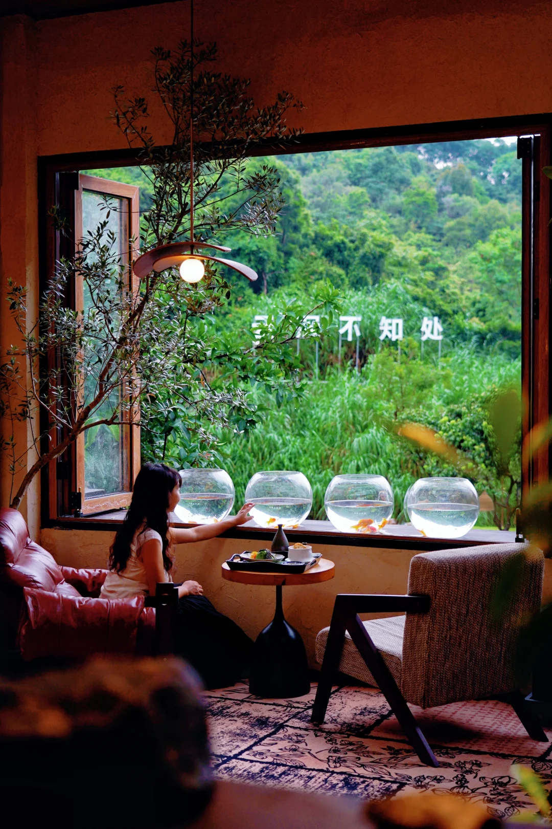 为了这扇窗，去了趟深圳！！