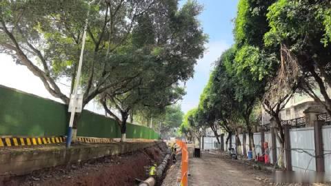 【城建第一线 | 滨江路中段污水整治工程提速中，全力冲刺国庆前完工】