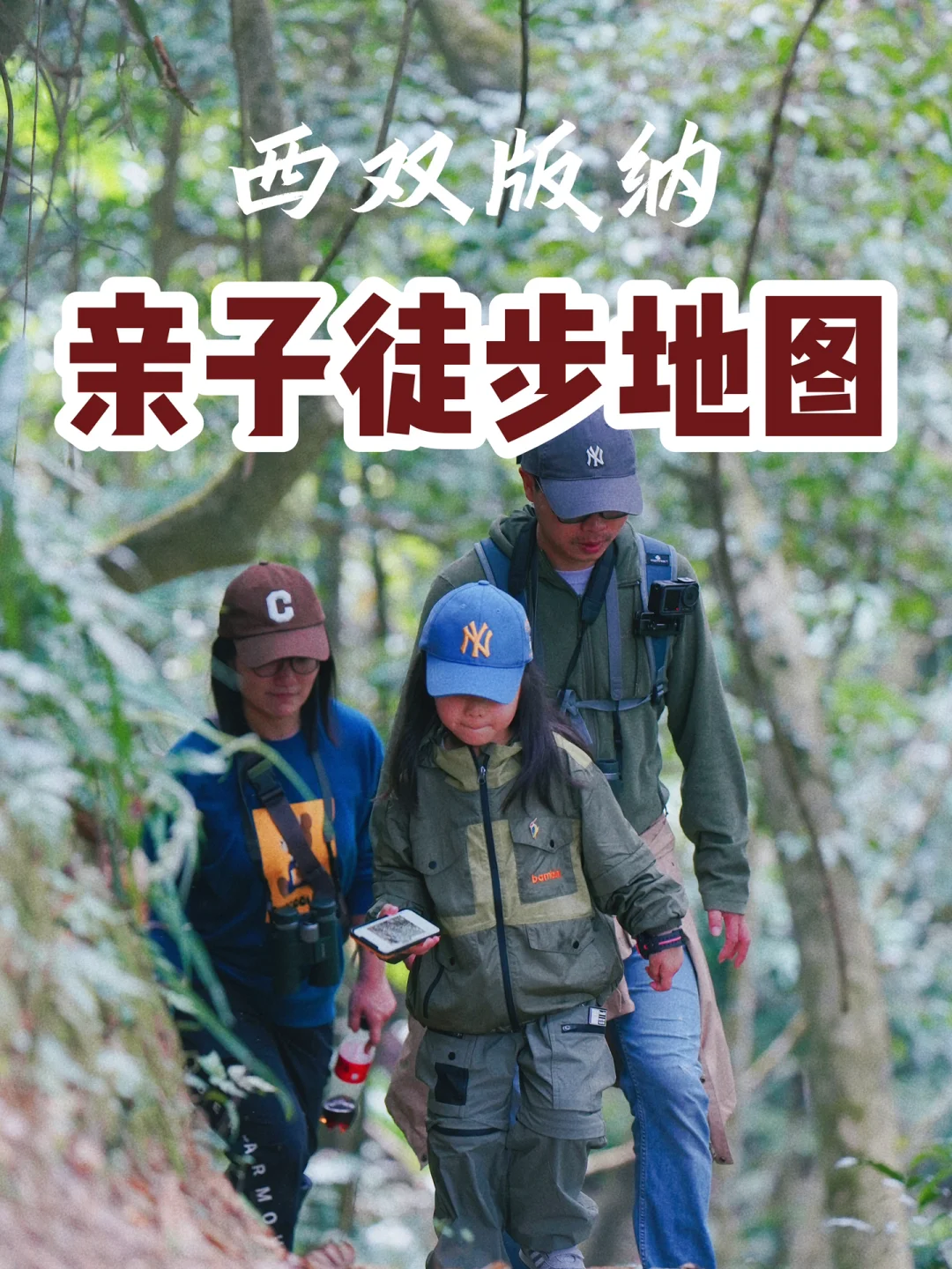 🌴版纳亲子游 | 徒步雨林穿越，附手绘地图