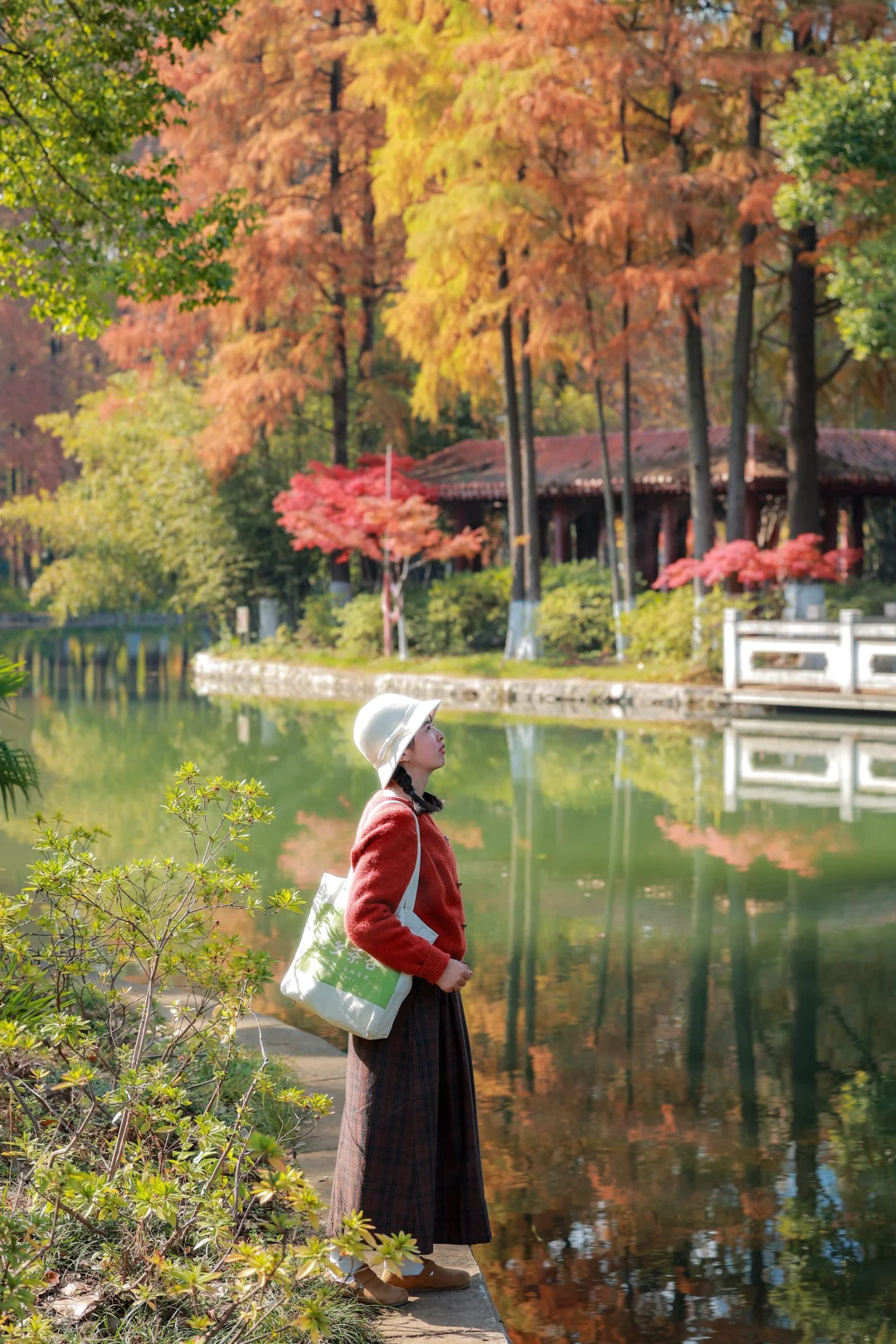 接下来几个月的武汉❗️堪称秋日氛围感天花板