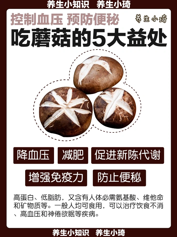 蘑菇的5大好处｜营养超丰富的！防止便秘