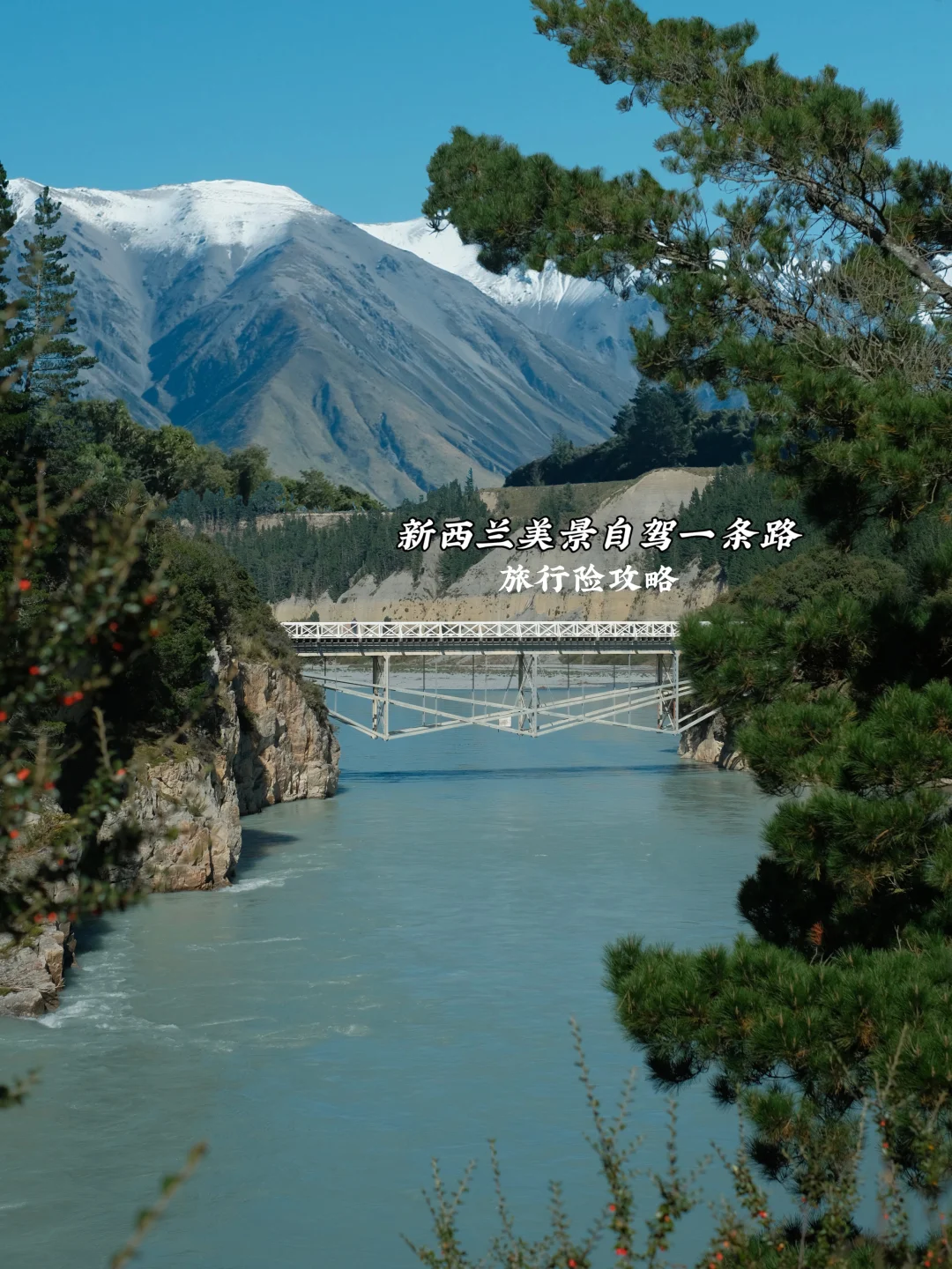 一条路游遍新西兰美景！别忽略了旅行险