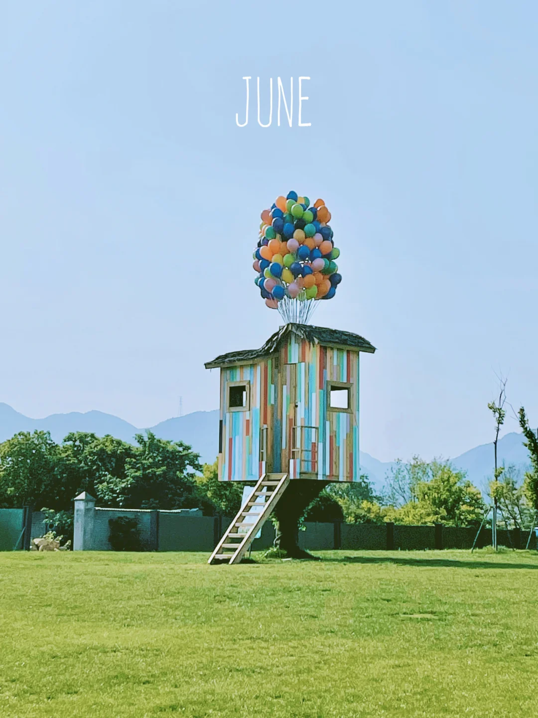 杭州小众景点｜0元看黑天鹅的阳陂湖