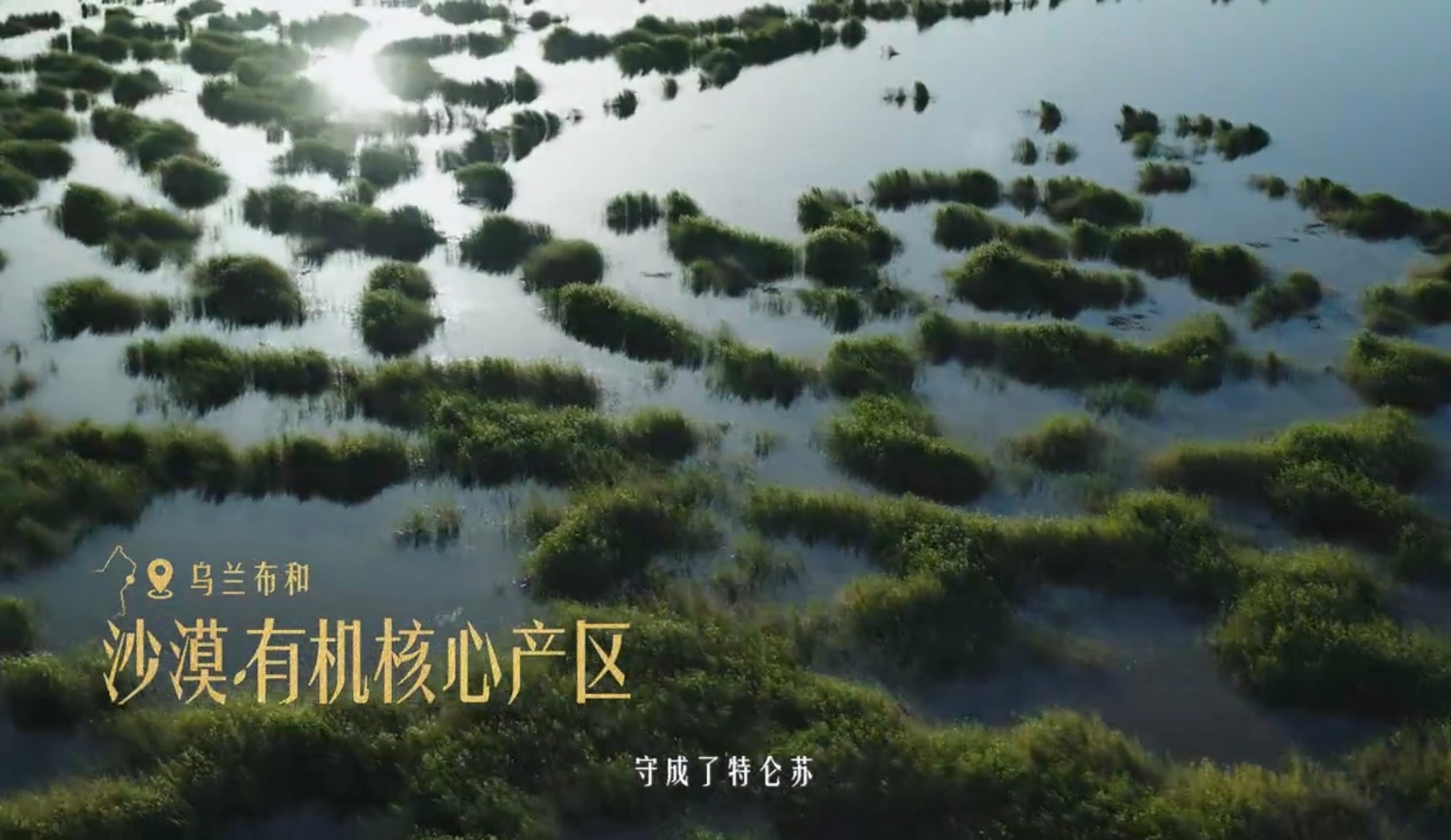 张云龙说这是世界杯级防守无论哪片土地都能孕育更好最近身边谈论的都是世界...