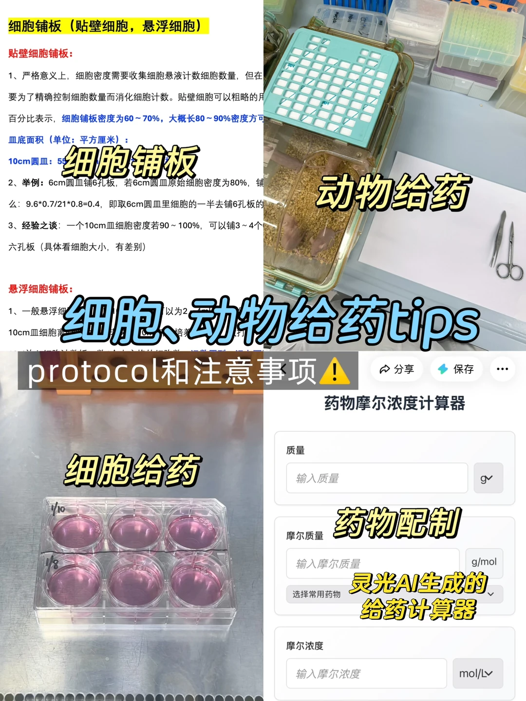 细胞、动物给药的方法和注意事项❗️