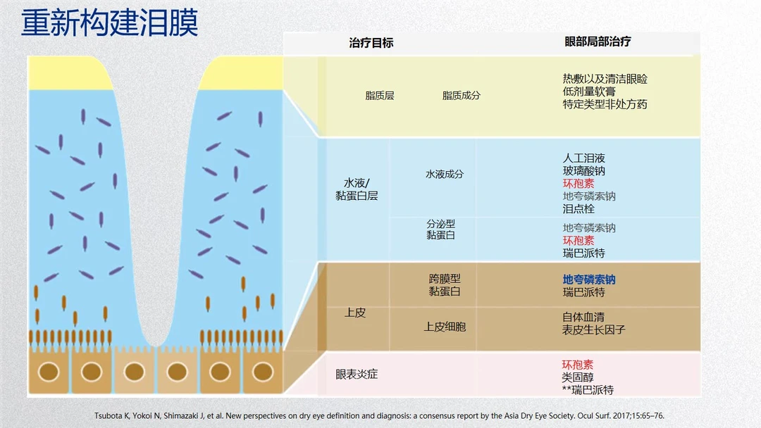 干眼症治疗，怎么重新构建泪膜 ​​​