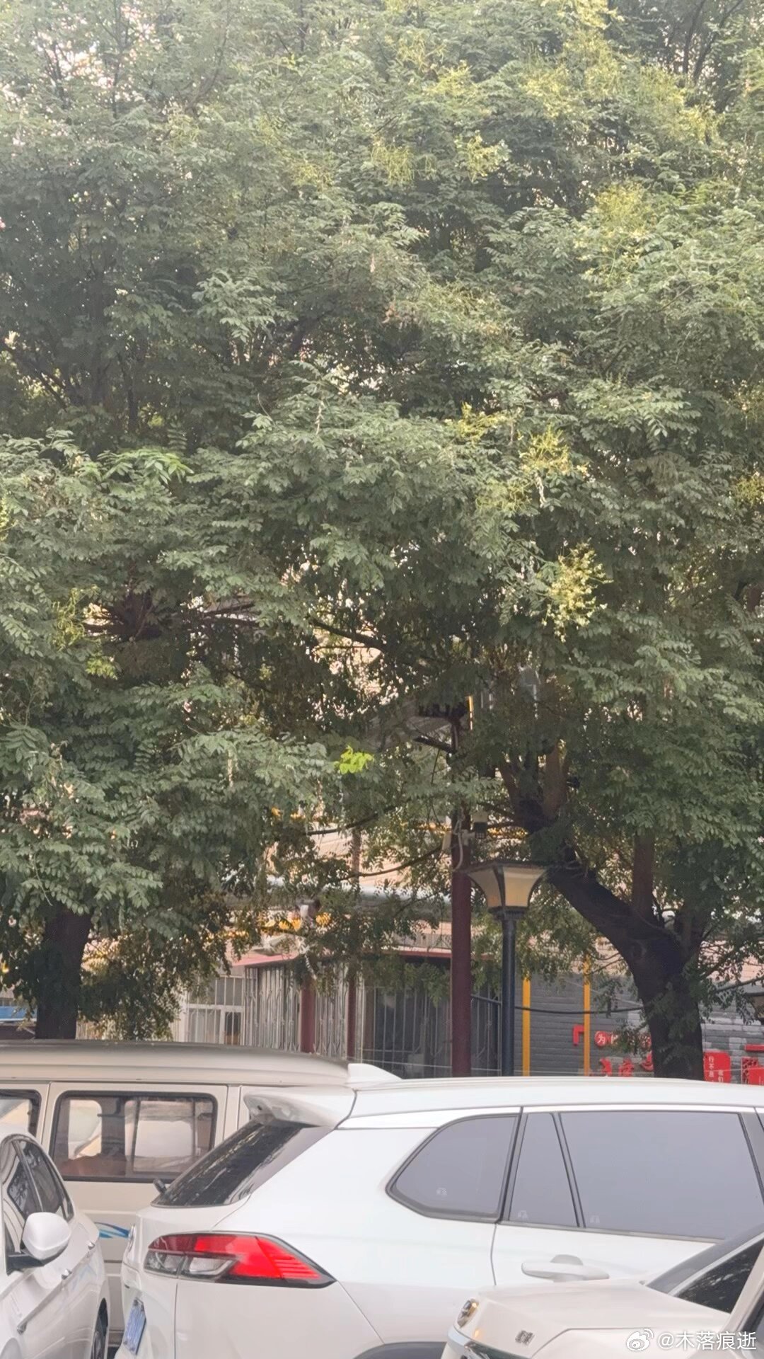 记录一血🩸
还有14天提车就满2个月了，我遇到了新车的第一次剐蹭。/流泪 /流泪 /流泪 
买车之前一直在担心自己的开车技术，害怕会出现事故，也是纠结了很久，自己劝说自己，最后才下订决心订了车。🚗🚗
事实证明，开车就像是升级打怪刷地图，以前觉得很恐怖的狭窄小路，在尝试走过一次后倒也觉得 ​