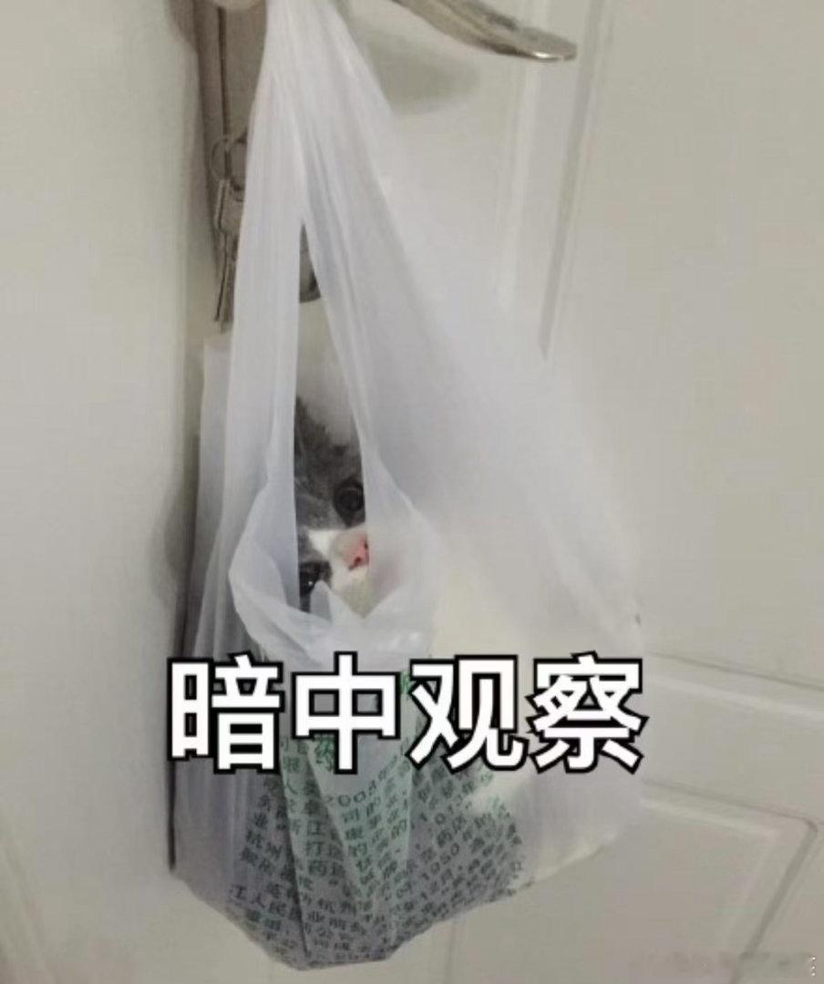 ​