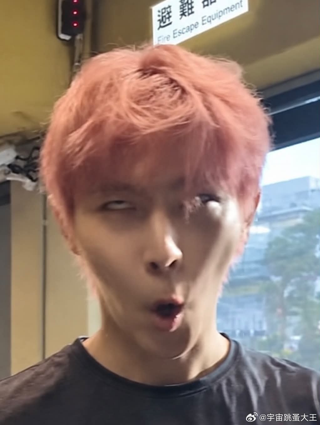 好想看真人版啊 ​